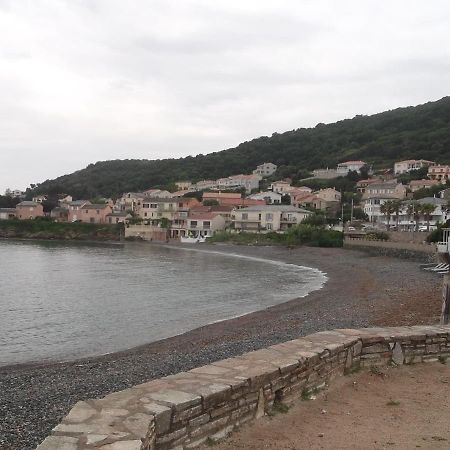Agreable Studio Debut Cap Corse Proche Bastia San-Martino-di-Lota Exterior photo