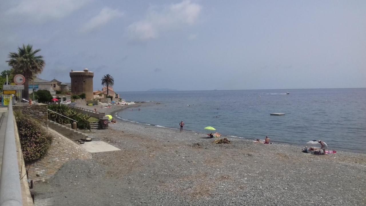 Agreable Studio Debut Cap Corse Proche Bastia San-Martino-di-Lota Exterior photo
